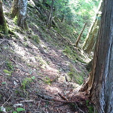190614_p11.jpg