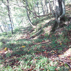 191005_p01.jpg