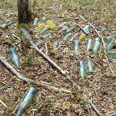 200024_p27.jpg