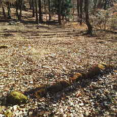 201220_p13.jpg