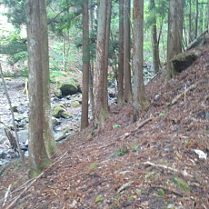 210515_p06.jpg