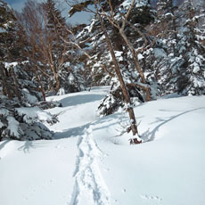 220513_p04.jpg