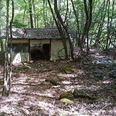220528_p14.jpg