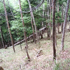 220618_p43.jpg