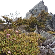 220618_p14.jpg