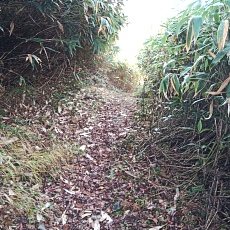 241021_p01.jpg