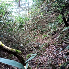 241022_p22.jpg