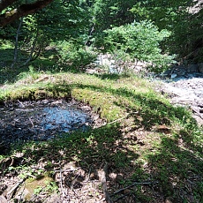 250629_p10.jpg