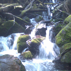 110815_p03.jpg