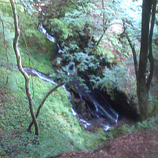 120909_p05.jpg