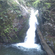 130623_p12.jpg