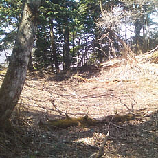140427_p12.jpg