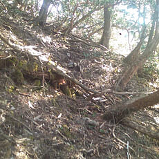 140427_p17.jpg