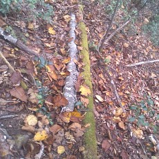 141004_p16.jpg