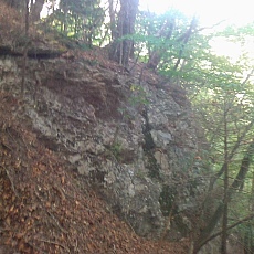 141011_p29.jpg