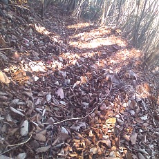 141103_p04.jpg