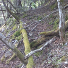 150605_p22.jpg
