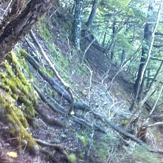 150919_p05.jpg