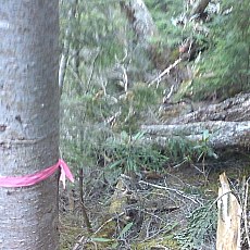 160603_p36.jpg