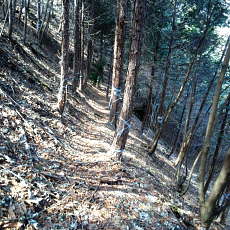 180329_p30.jpg
