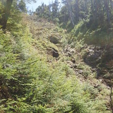 180428_p14.jpg
