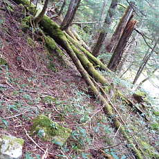 201004_p07.jpg