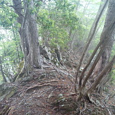 210515_p11.jpg