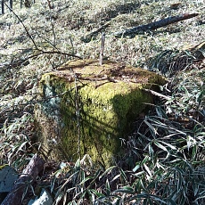 221127_p05.jpg