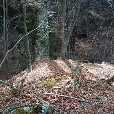 231123_p18.jpg