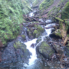 120623_p04.jpg
