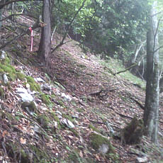 130726_p14.jpg