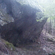 130726_p18.jpg