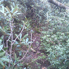 130914_p12.jpg