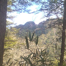 140517_p22.jpg