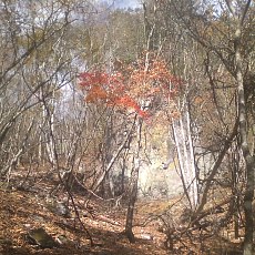 141103_p12.jpg