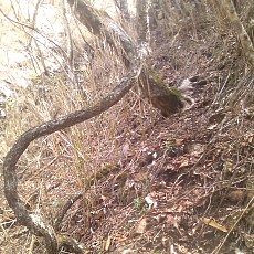 150429_p08.jpg