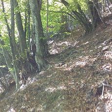 150510_p02.jpg