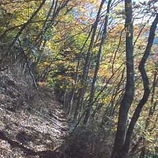 151025-01_p06.jpg