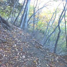 151025-01_p08.jpg