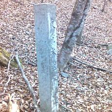 151230_p01.jpg