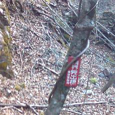 160109_p11.jpg