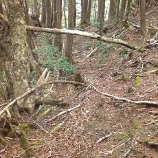 160506-02_p13.jpg