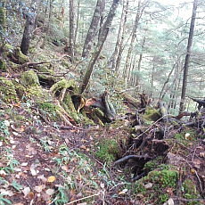 171008_p21.jpg