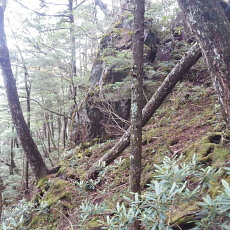 171008_p26.jpg