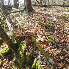 180412_p03.jpg