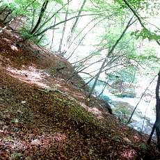 190518_p40.jpg