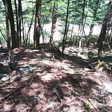 220528_p35.jpg