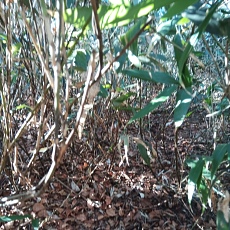 221112_p38.jpg