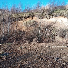 221127_p13.jpg