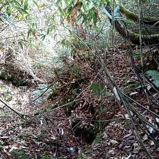 241022_p18.jpg